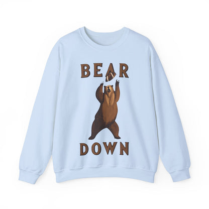 Sweatshirt S / Light Blue Bear Down Vintage Sweatshirt