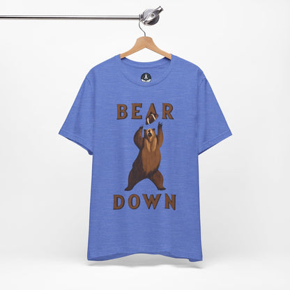 T-Shirt Heather Columbia Blue / S Vintage Bear Down T-Shirt