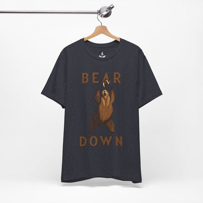 T-Shirt Heather Navy / S Vintage Bear Down T-Shirt